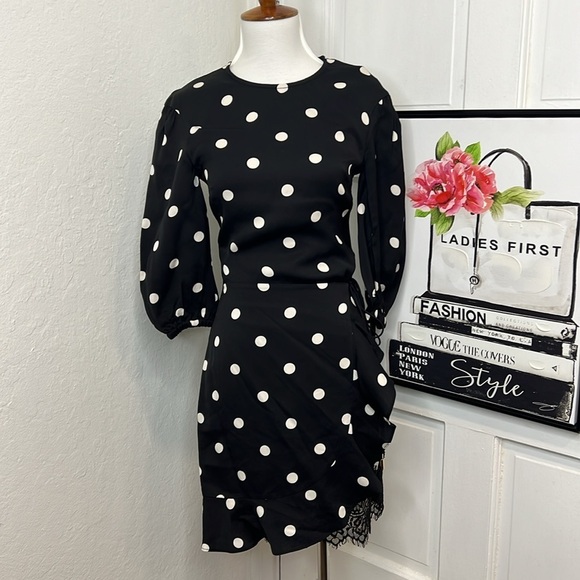 Rebecca Vallance Penelope BNW Polka Dot Mini Dress Size 0US - Picture 3 of 10